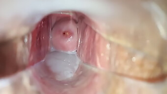 Cumming Inside The Clit: Close-Up View