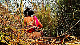 Aziatische Amateur Bhabhi Wordt Wild In Het Veld