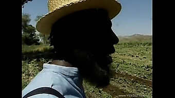 Casal Amish Fica Selvagem No Monte De Feno