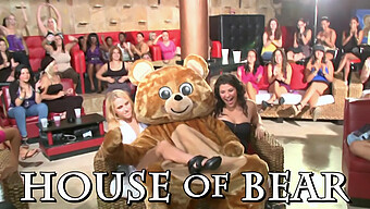 Wild Cfnm Party With Dancing Bear And Hot Women Giving Blowjobs And Having Sex